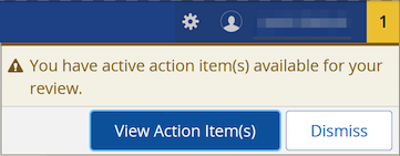 Screenshot of Banner action item